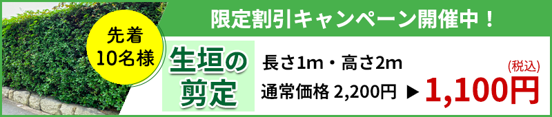 生垣剪定が半額・限定割引キャンペーン開催中
