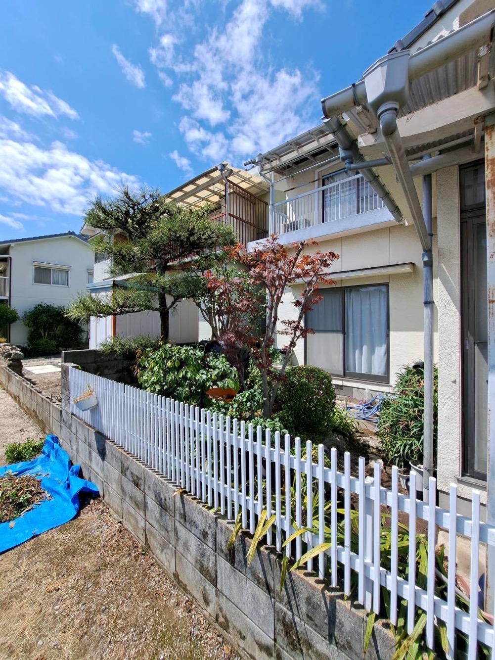 立木の剪定（施工後）