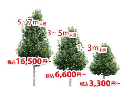 立木の剪定・お手入れ