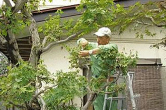 作業・お支払い