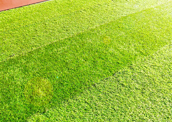 草刈り・芝刈り